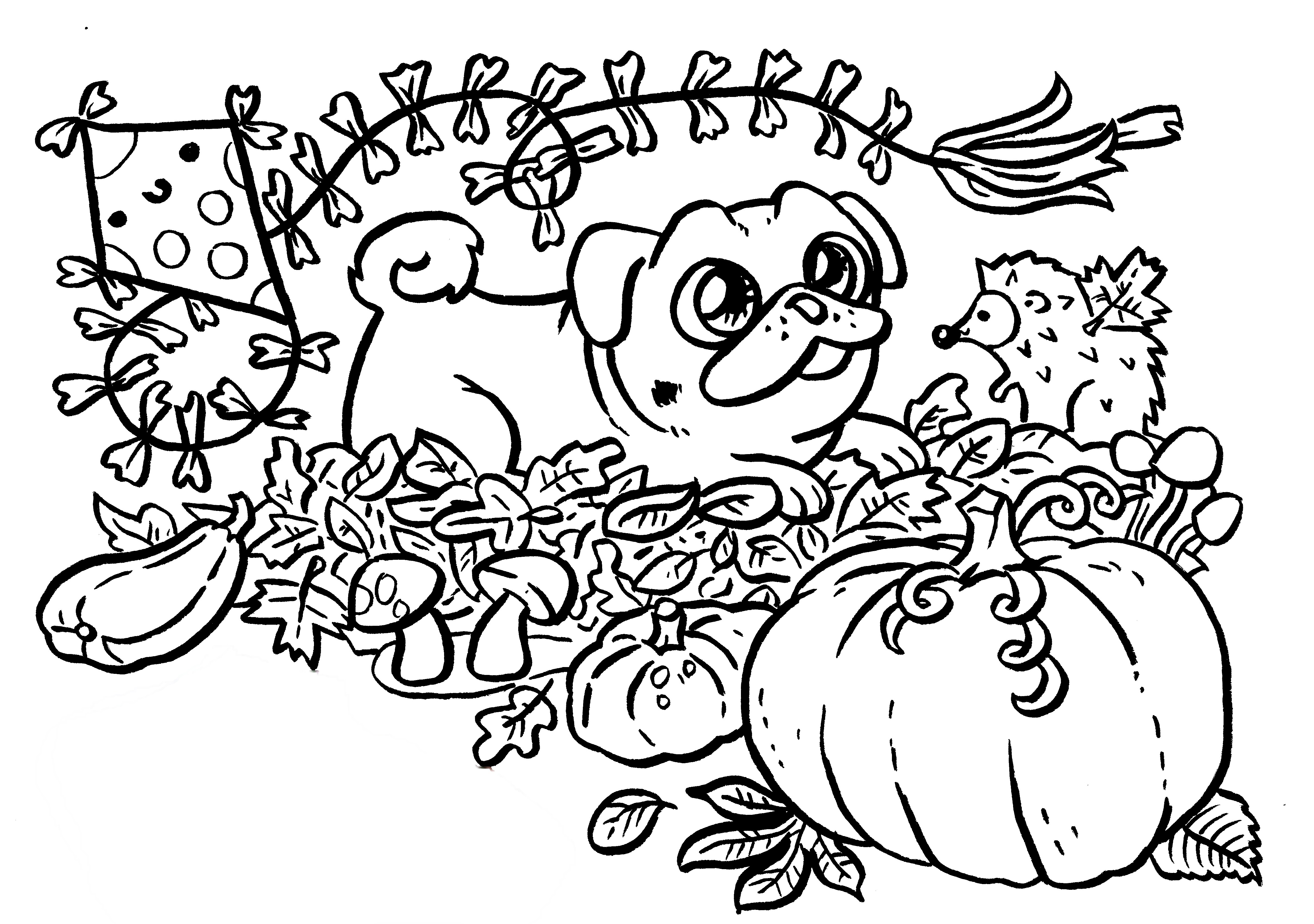 Mopsolovánka - říjen